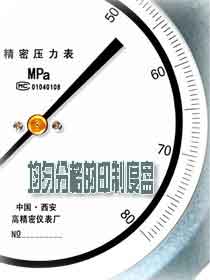 均勻的精密壓力表印制刻度表盤(pán)